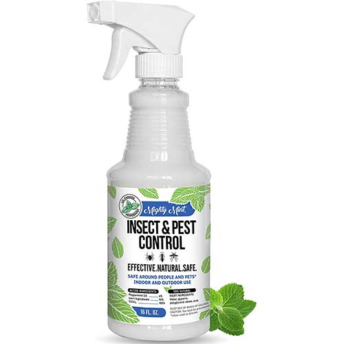 peppermint oil pest control spray pet safe mighty mint