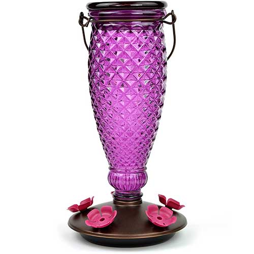 purple hummingbird feeder made of glass