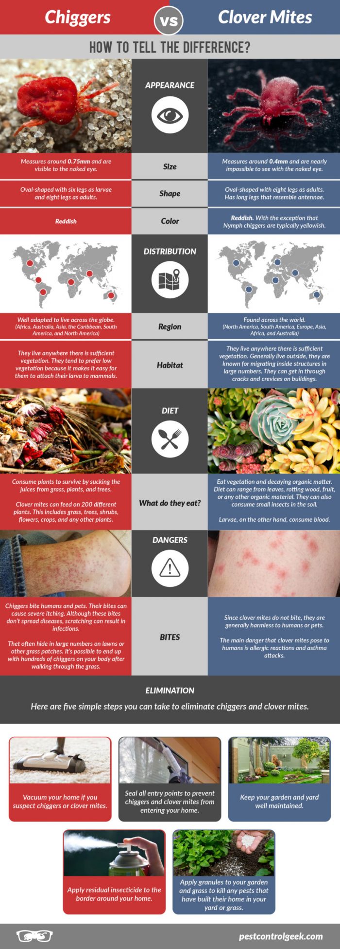 Chiggers VS Clover Mites