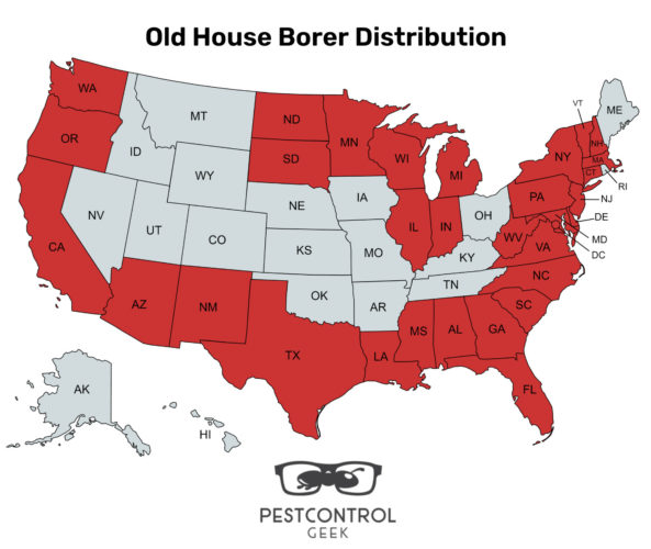 old house borer distribution map